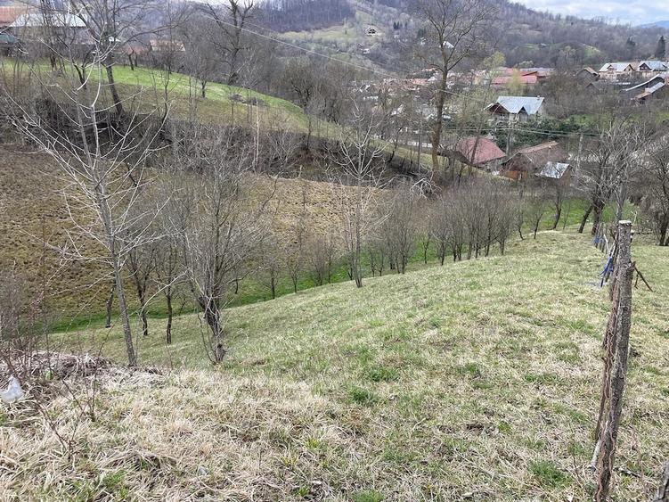 vand 2300m2 teren intravilant comuna secaria - 2