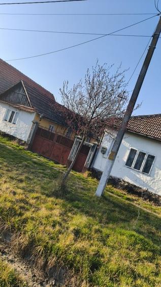 Casă cu 4 camere în Apateu