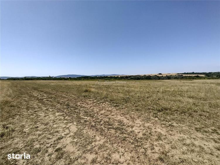 Teren de 14500 mp, în Cara