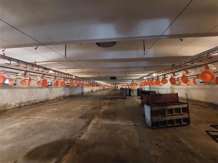 Spațiu industrial, de 1,200 mp, în Exterior Nord