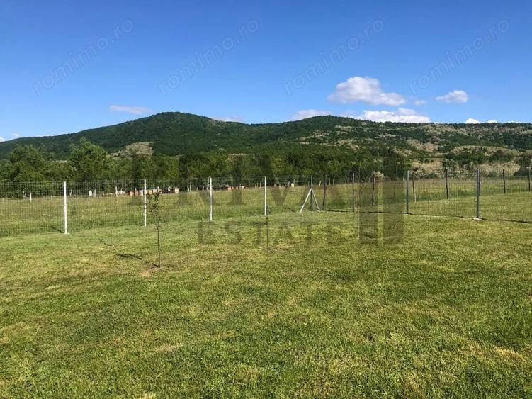 Teren de 800 mp, în Botinești