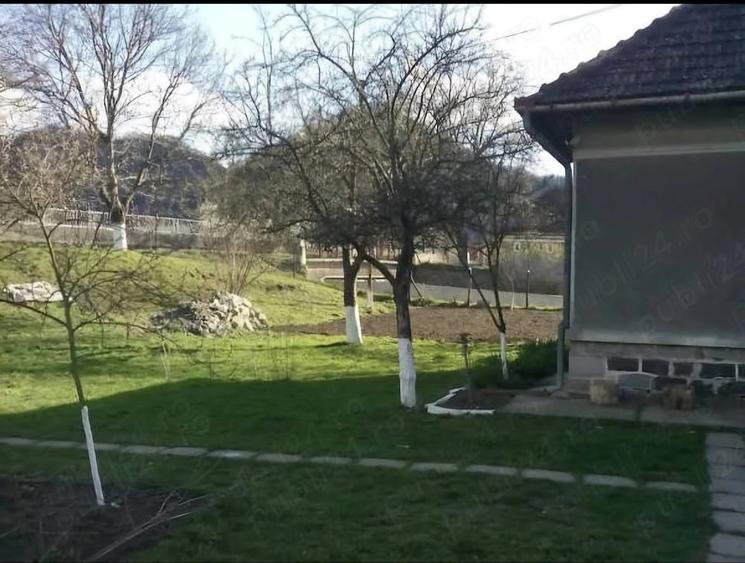 Casă cu 3 camere cu Teren 2100 Mp în Criș