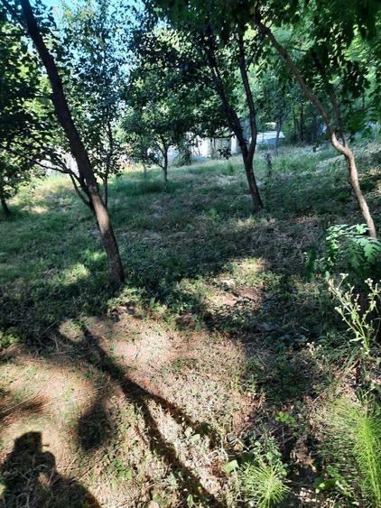 Casă individuală cu 3 camere cu Teren 1800 Mp în Central