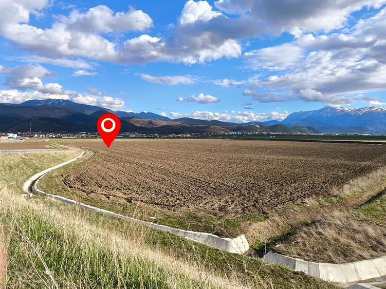 Teren agricol intravilan de 17000 mp, în Cristian