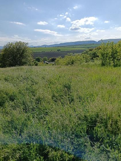 Vand 1500 mp teren intravilan, Turda, str Romana - 4