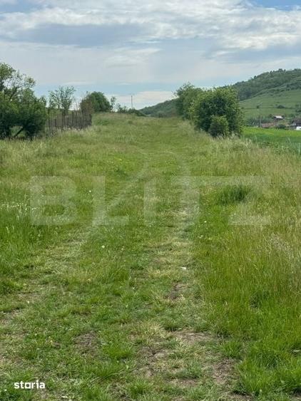 Teren de 2900 mp, în Central