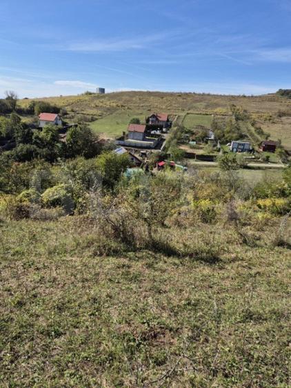 Parcela 12000 mp teren intravilan de vanzare in Livezeni - 2