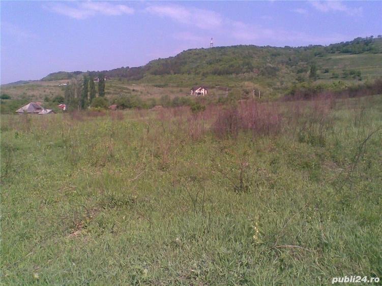 Teren de 3353 mp, în Ștefănești