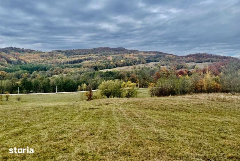 Teren de 22800 mp, în Mihăești
