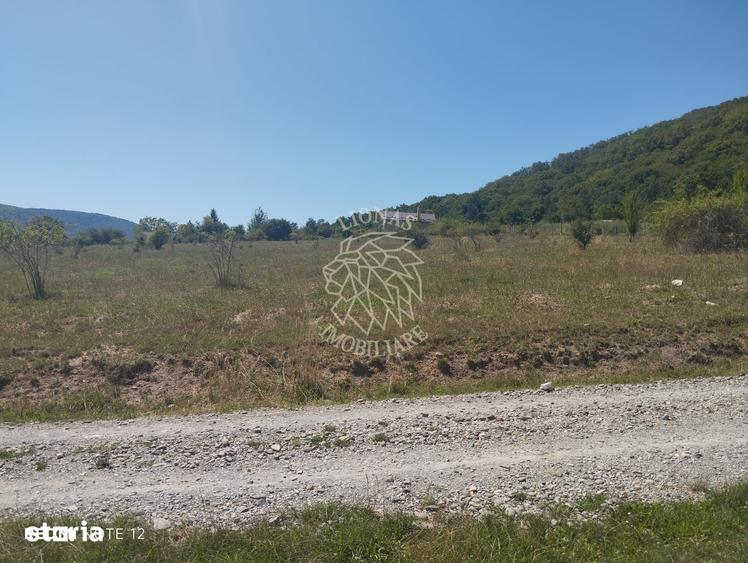 Teren de 2900 mp, în Viișoara