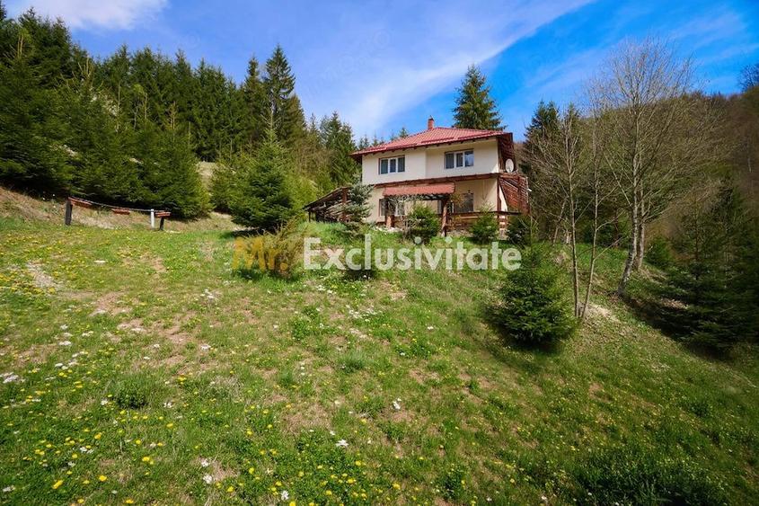 Casă cu 5 camere cu Teren 6412 Mp în Dâmbovicioara