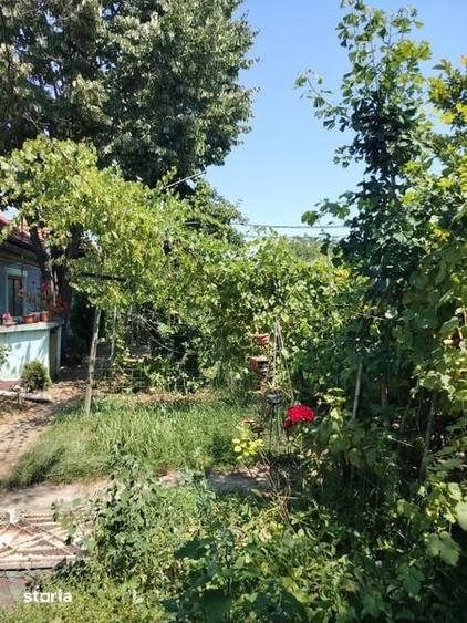 Casă cu 2 camere cu Teren 381 Mp în Radu de la Afumați