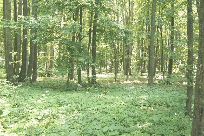 Teren de 3250000 mp, în Nord