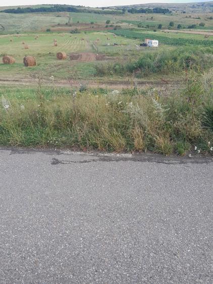 Teren de 1300 mp, în Chinteni
