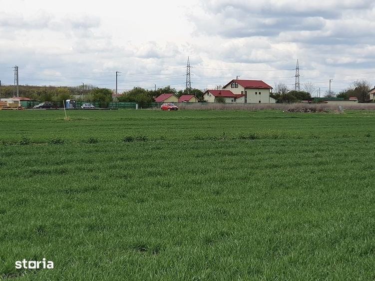 Teren Balotesti, vecinatate padure Sri,19500 euro - 13
