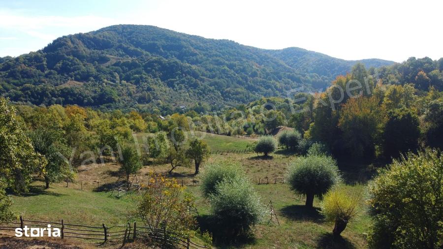 Teren de 2264 mp, în Bradu