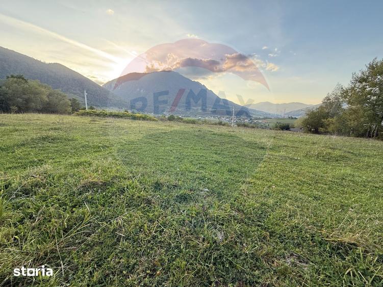 Teren de 646 mp, în Tohănița