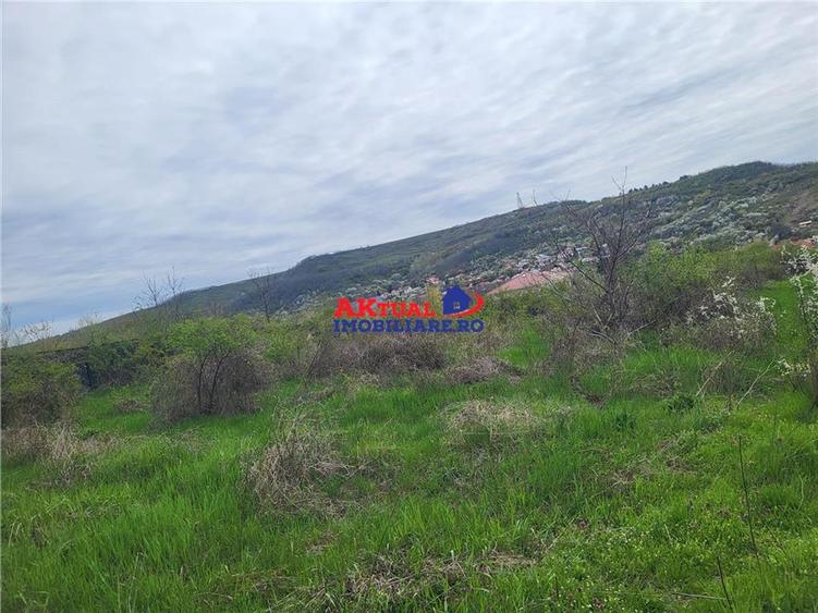 Teren agricol intravilan de 35000 mp, în Ștefănești