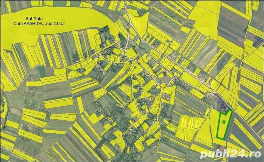 Teren de 17900 mp, în Pata