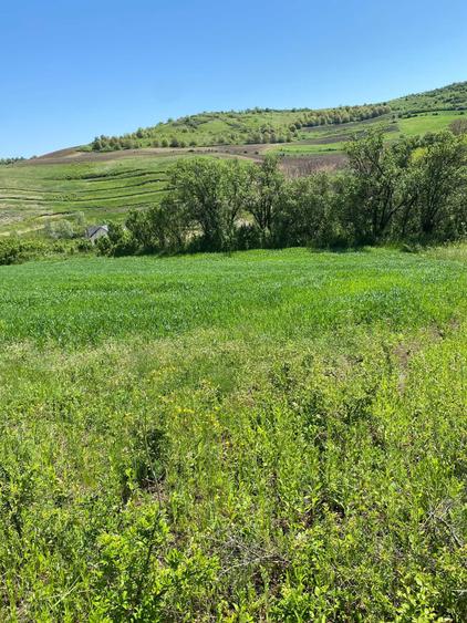 Casă cu 2 camere în Buza