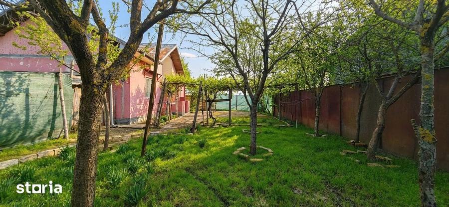 OPORTUNITATE RARA: Casa cu 500 mp Teren in Glina - 10