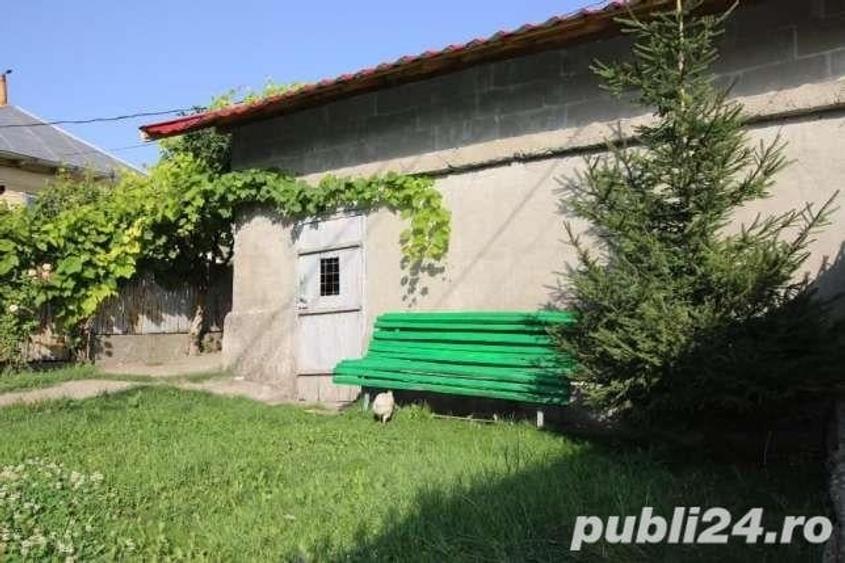 Casă cu 5 camere cu Teren 5000 Mp în Topolog