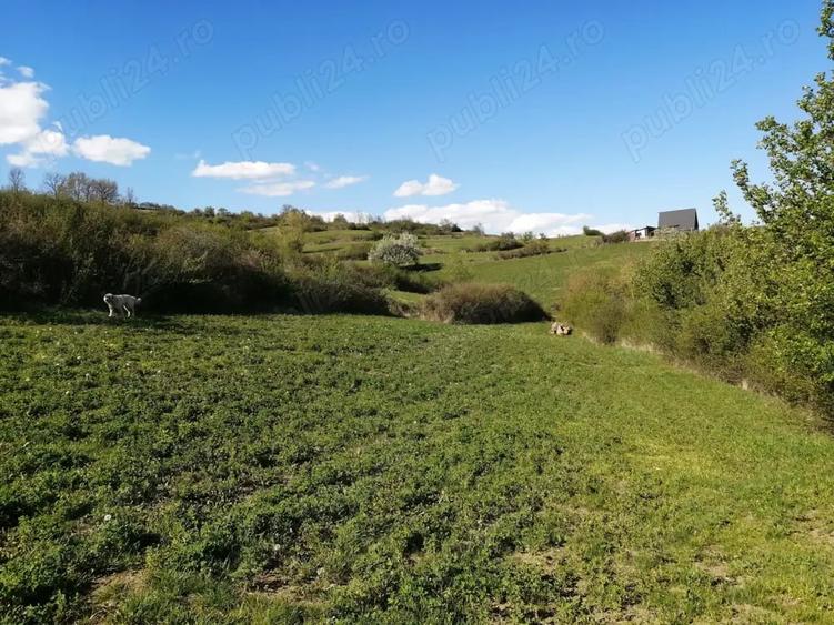 Teren de 4100 mp, în Ampoița