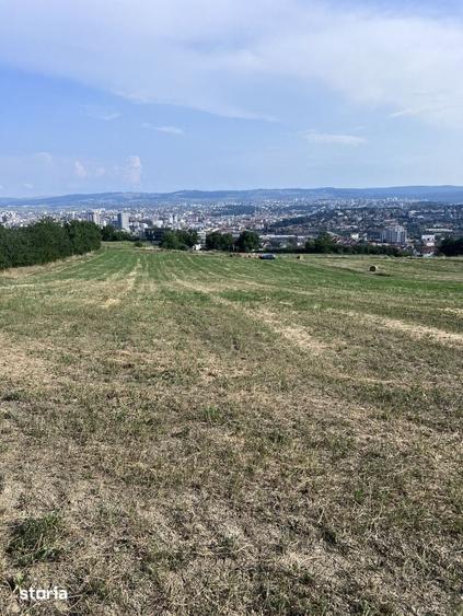 Oportunitate de investitie Teren intravilan, 3150 mp , Panoramic , Dam - 3