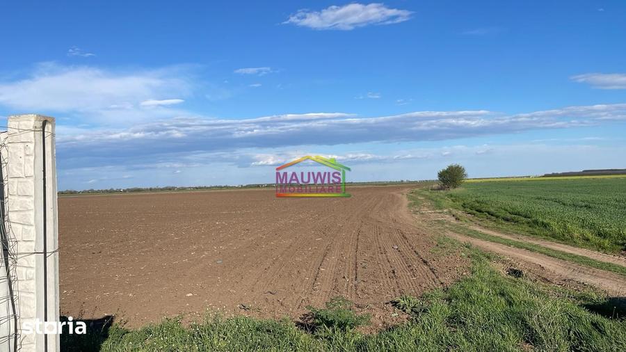 Teren de 18000 mp, în Dascălu