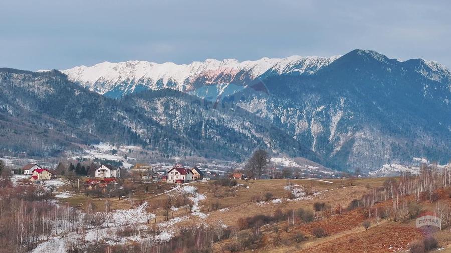 Teren Construcții intravilan de 4500 mp, în Tohanu Nou