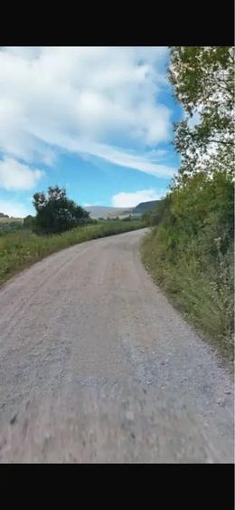Teren de 28000 mp, în Șoarș