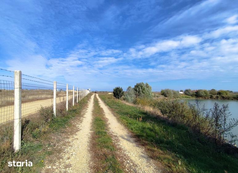 Balta de Pescuit, Cabana din Busteni, Teren 6,37 ha, langa Oradea - 13