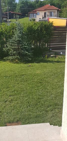 Casă cu Teren 1000 Mp în Central