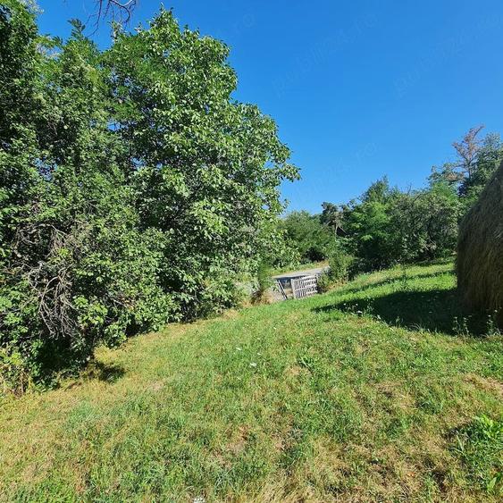 Teren de 7500 mp, în Prosia