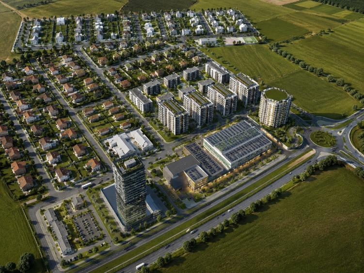 Teren Construcții intravilan de 9909 mp, în Remetea Mare