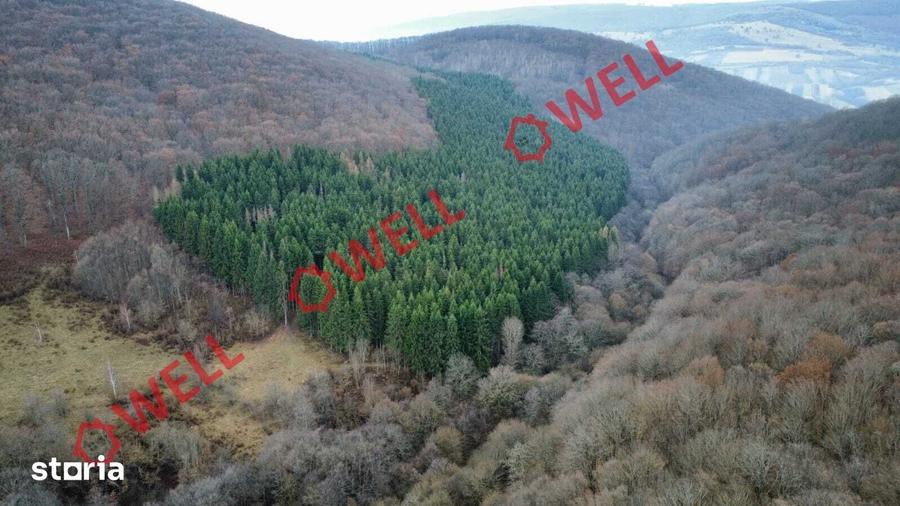 Teren de 5000 mp, în Malnaș