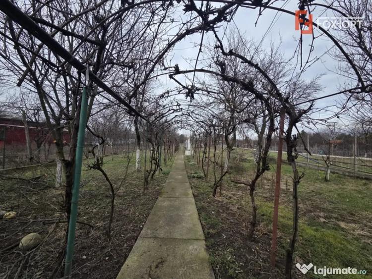 Casă cu 8 camere cu Teren 1649 Mp în Aradul Nou