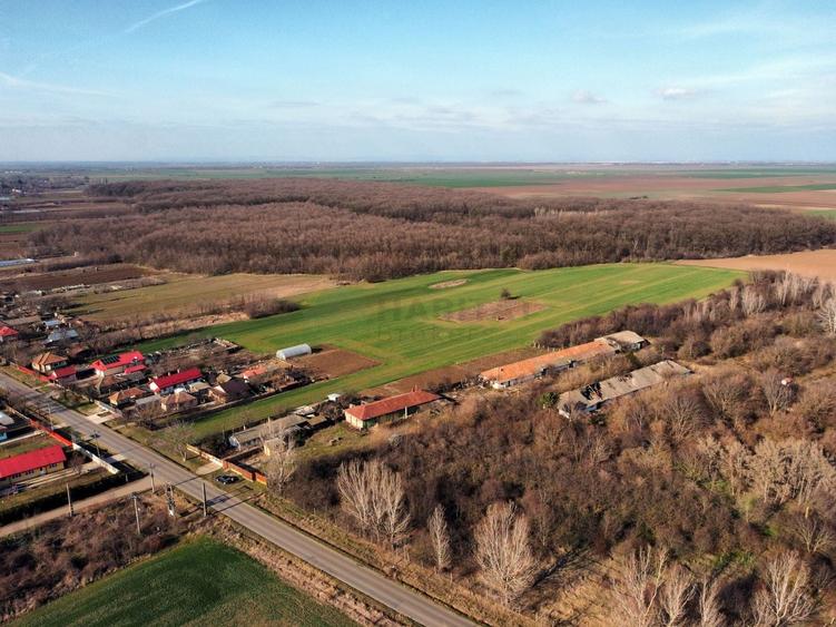 Teren Construcții intravilan de 70291 mp, în Micșunești-Moară