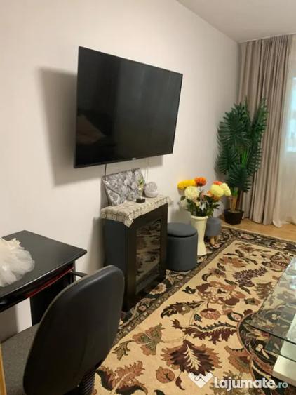 Apartament 2 camere semidecomdat parter, 55 mp, Bals - 17