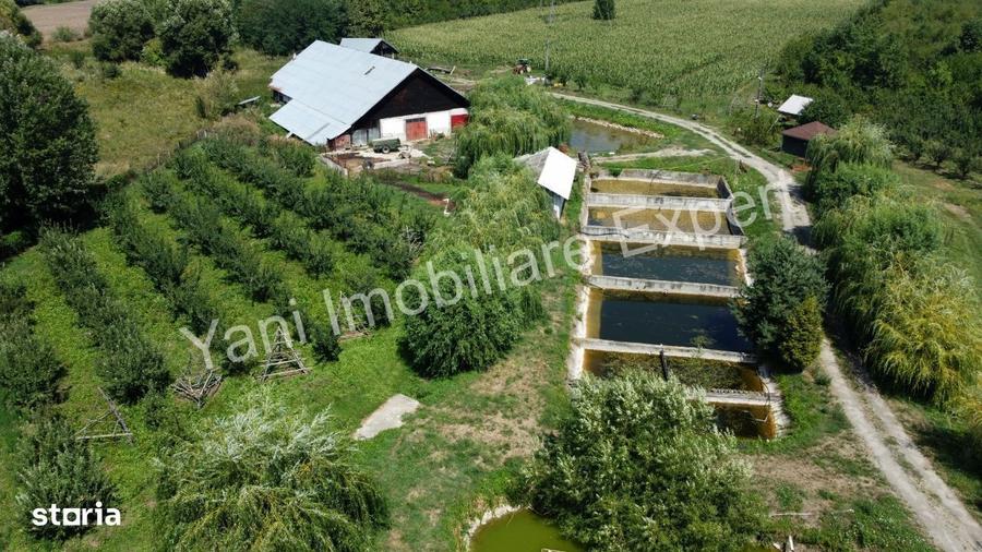 Teren de vanzare, Comuna Cepari, Judet Arges ( 40.672 mp ) - 2