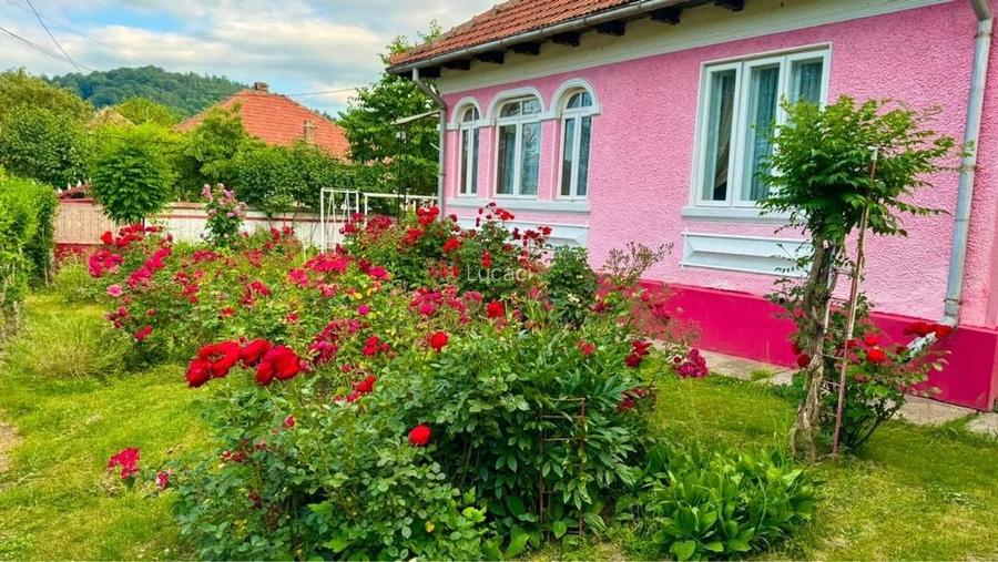 Vand casa locuibila cu teren 1490 mp