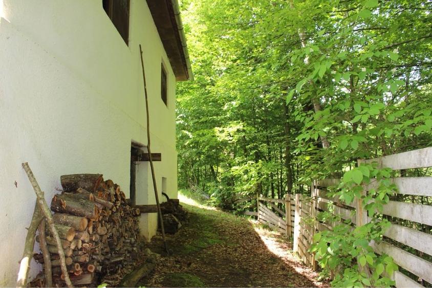Vand cabana pe Valea Sebesului - 1