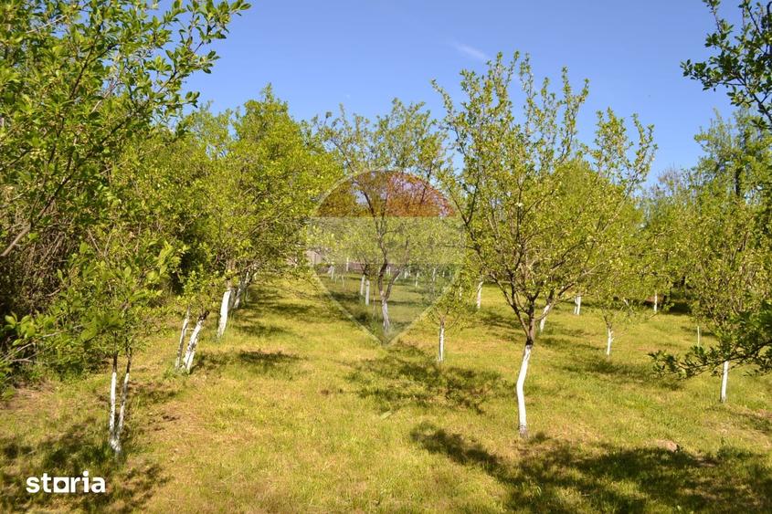 Casă cu 5 camere cu Teren 1842 Mp în Teiș