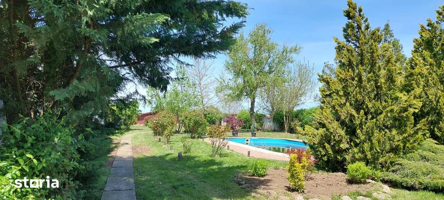 Vanzare vila cu piscina Snagov - Ciofliceni, teren 2649mp - 13