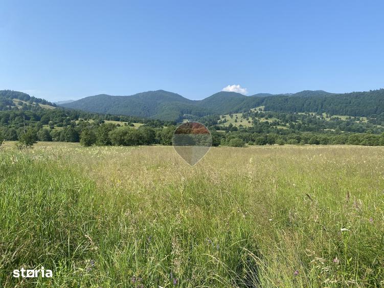 Teren de 4306 mp, în Vama Buzăului