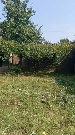 Casă cu 3 camere în Bălăceana