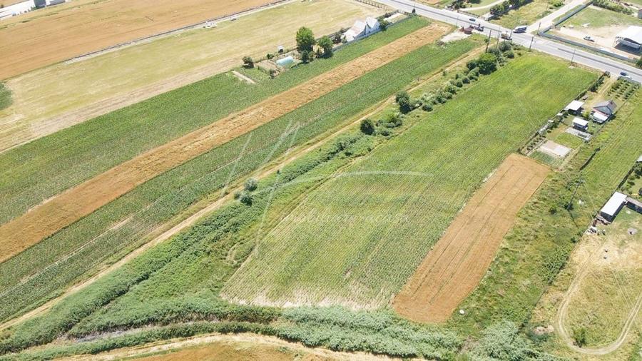 Teren Construcții intravilan de 7427 mp, în Argeșelu