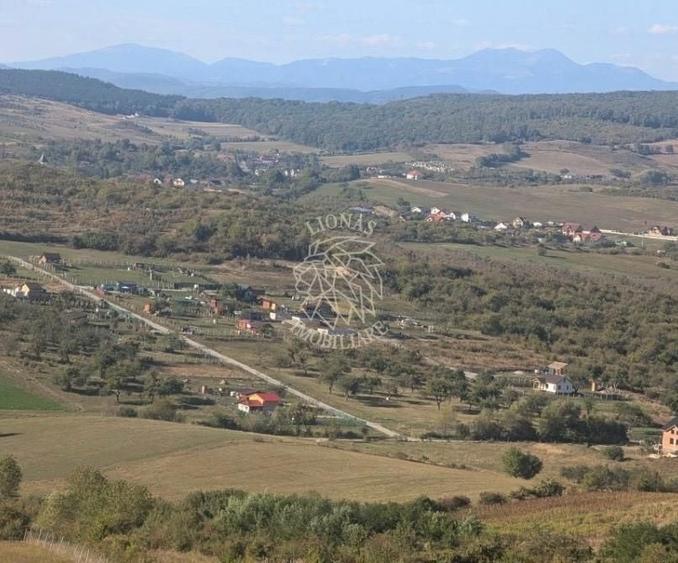 Teren Construcții extravilan de 3044 mp, în Sud