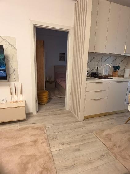 Apartament cu 2 camere nedecomandat, mobilat în Palazu Mare