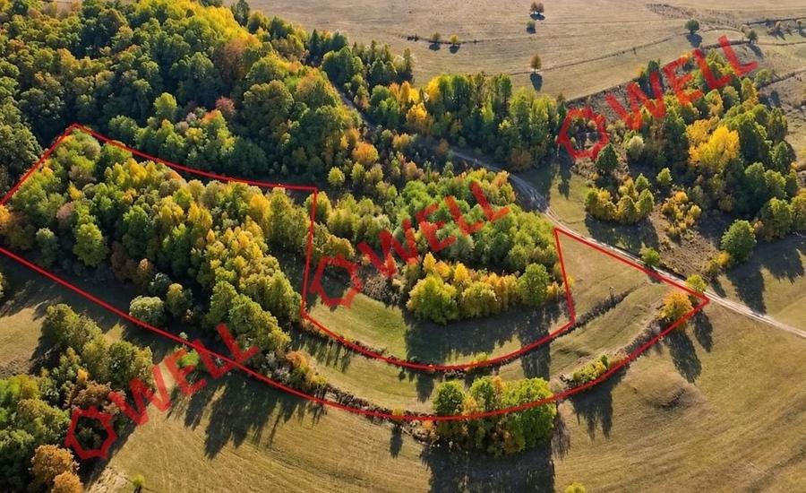 Teren extravilan de 4500 mp, în Bățanii Mici